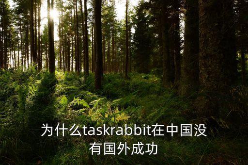 為什么taskrabbit在中國沒有國外成功