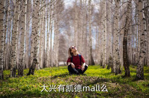 天宮院凱德mall什么時(shí)候開業(yè)，大興有凱德mall么