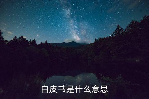 白皮書是什么意思