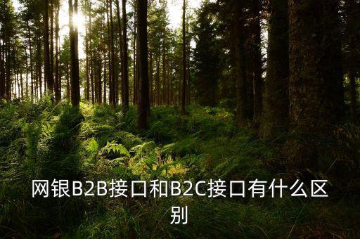 什么是經(jīng)濟組織對消費者，網(wǎng)銀B2B接口和B2C接口有什么區(qū)別