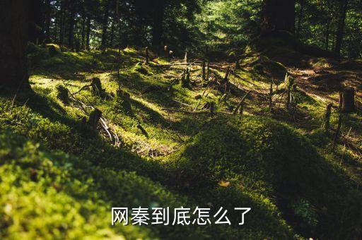 網(wǎng)秦到底怎么了