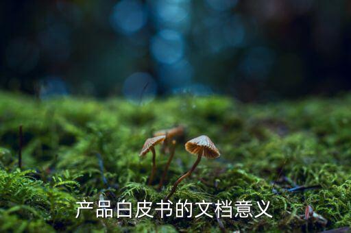 產(chǎn)品白皮書的文檔意義