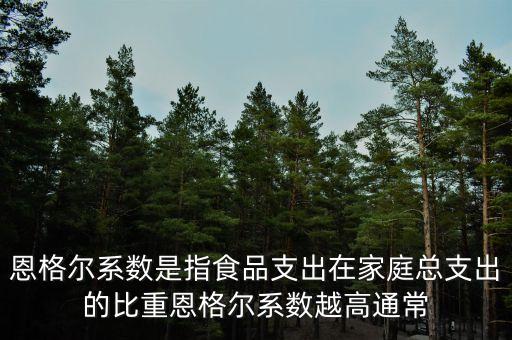 什么是恩格爾系數(shù)法，什么是恩戈爾系數(shù)