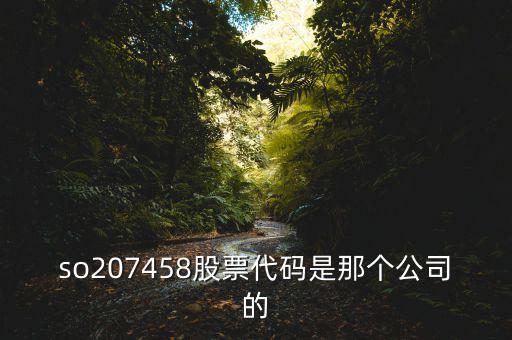 so207458股票代碼是那個公司的