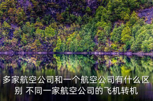 多家航空公司什么意思，同一架飛機有2家公司運營嗎我和我哥買的同一家飛機為什么是不