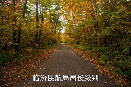 民航總局老干部局局長(zhǎng)是什么級(jí)別，臨汾民航局局長(zhǎng)級(jí)別