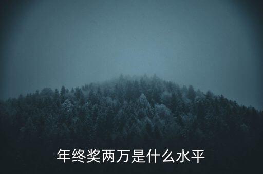 年終獎10000什么水平，月薪1700年終獎一萬算什么水平