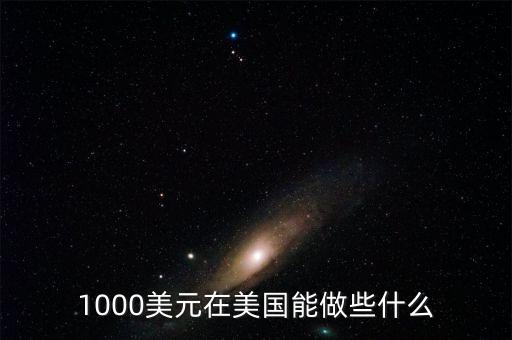 1000美元在美國能做些什么