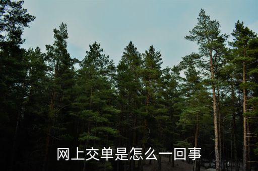 什么叫電子交單，網(wǎng)上交單是怎么一回事