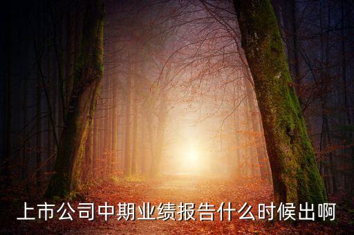 中報業(yè)績最晚什么時間公布，規(guī)定股票中報什么時候出