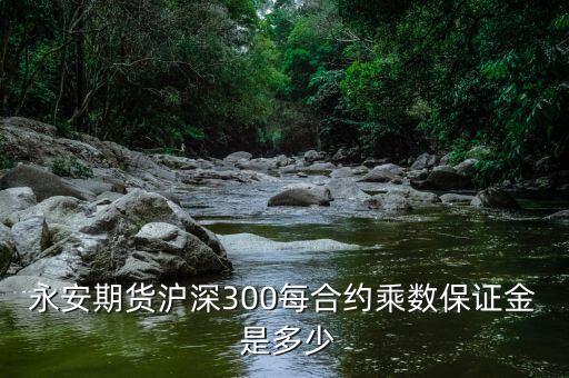 合約乘數(shù)是什么，永安期貨滬深300每合約乘數(shù)保證金 是多少