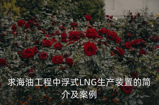 什么是浮式lng項(xiàng)目，什么是浮式LNG