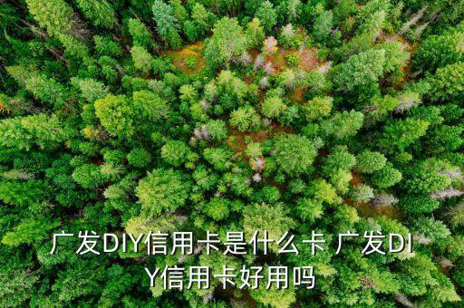 什么是diy信用卡，廣發(fā)DIY信用卡是什么卡 廣發(fā)DIY信用卡好用嗎