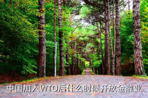 中國加入WTO后什么時候開放金融業(yè)