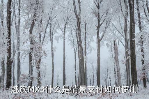 什么叫支付場(chǎng)景，魅族MX3什么是情景支付如何使用