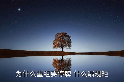 為什么湘潭電化重組暫停，湘潭電化股票停牌是什么意思