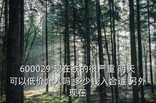 粵傳媒今天什么跌這么厲害，600029 現(xiàn)在跌的很嚴(yán)重 明天可以低價(jià)介入嗎 多少錢入合適 另外現(xiàn)在