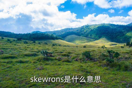 skewrons是什么品牌，伯思凱是什么牌子