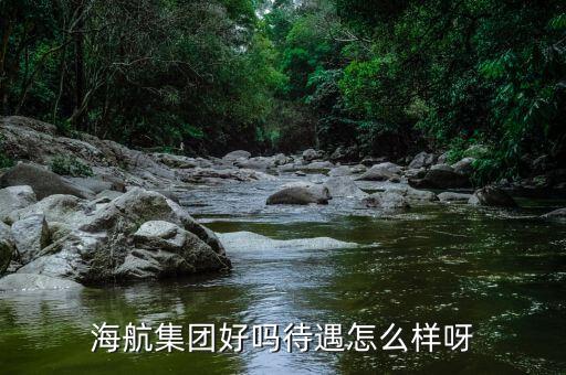 海航集團好嗎待遇怎么樣呀