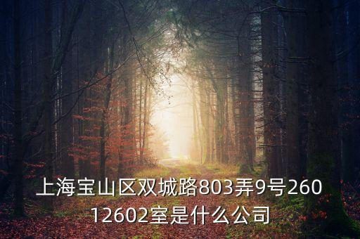 上海柏智方德是什么公司，上海寶山區(qū)雙城路803弄9號(hào)26012602室是什么公司