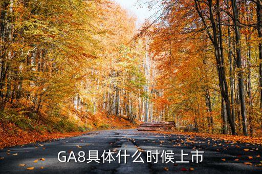 GA8具體什么時(shí)候上市