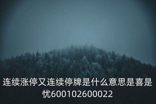 600139連續(xù)停牌是什么意思，股票連續(xù)停牌是什么意思