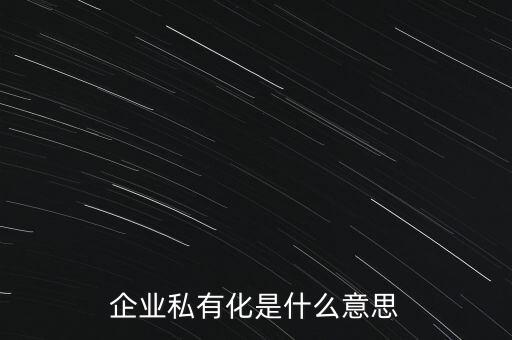 企業(yè)私有化是什么意思