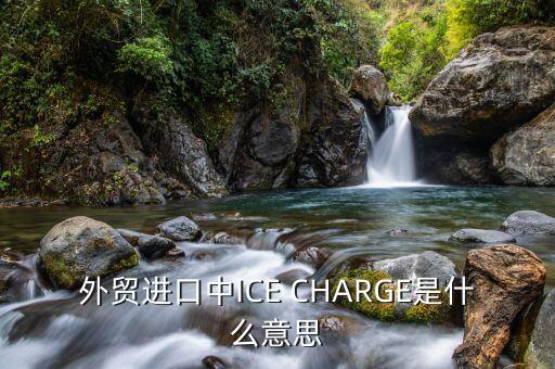 ice布油是什么，外貿(mào)進(jìn)口中ICE CHARGE是什么意思