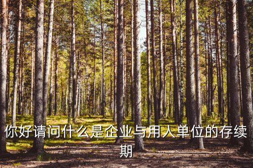 什么叫存續(xù)合同，法律上所謂的續(xù)存是什么意思