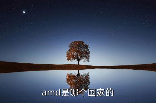 amc是什么公司，amd是哪個國家的