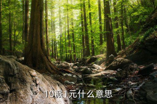 基金10派1是什么意思，山東墨龍股10轉(zhuǎn)10派1是什么意思