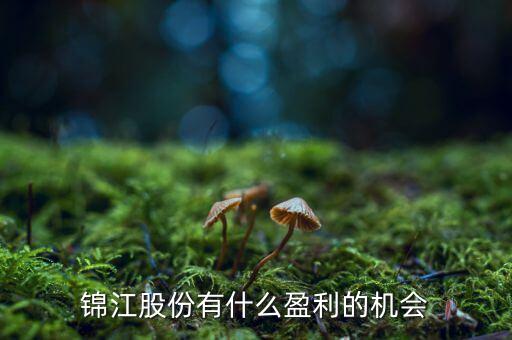 錦江股份什么時(shí)候分紅，000157什么時(shí)候分紅