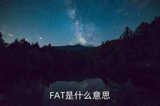 fatca指什么，F(xiàn)AT是什么意思