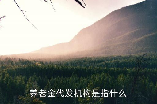 養(yǎng)老金代發(fā)機構(gòu)是指什么