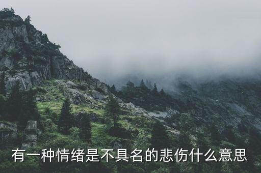 不愿具名是什么意思，有一種情緒是不具名的悲傷什么意思