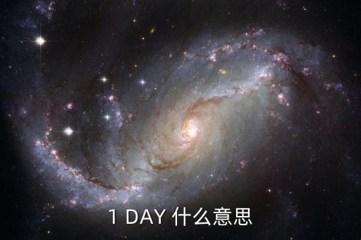 天天發(fā)1天期什么意思，1 DAY 什么意思