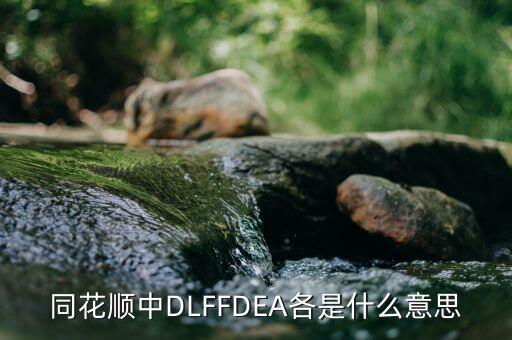 同花順中DLFFDEA各是什么意思