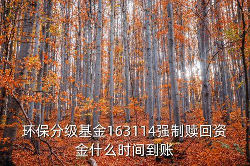 163114什么時(shí)候開盤，163114是個(gè)什么玩意啊賣也賣不出