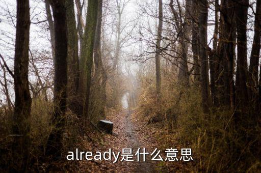 already是什么意思