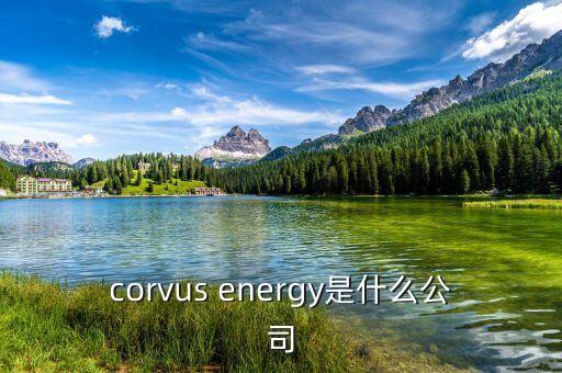 凱富能源是什么公司，corvus energy是什么公司