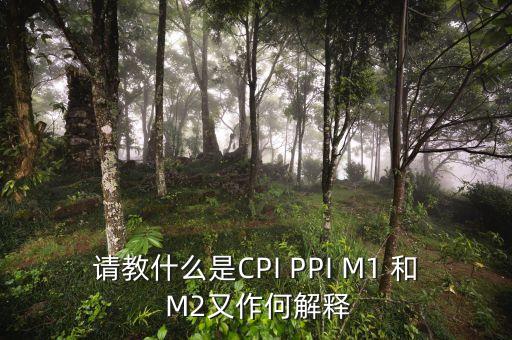 m2指數(shù)是什么，請(qǐng)教什么是CPI PPI M1 和 M2又作何解釋