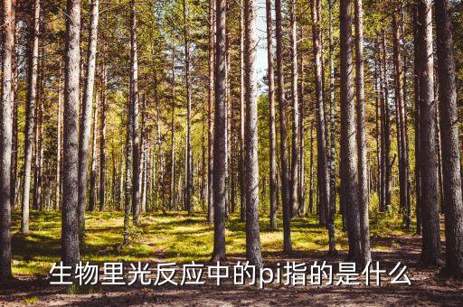 生物里光反應(yīng)中的pi指的是什么