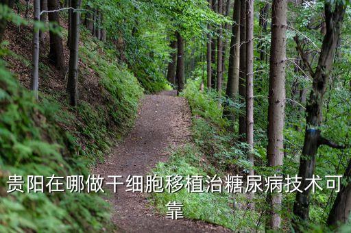 貴陽在哪做干細胞移植治糖尿病技術(shù)可靠