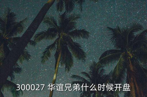 300027 華誼兄弟什么時候開盤