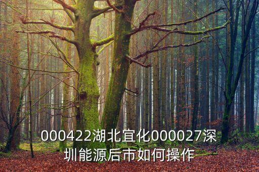 000027之前名什么，000422湖北宜化000027深圳能源后市如何操作