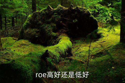 roe低說明什么，凈資產(chǎn)收益率反應(yīng)了些什么