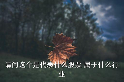 請問這個是代表什么股票 屬于什么行業(yè)