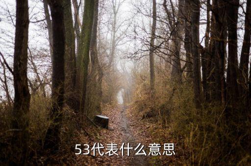 發(fā)紅包53代表什么意思，53代表什么意思