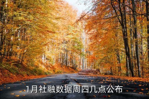 1月社融數(shù)據(jù)周四幾點公布