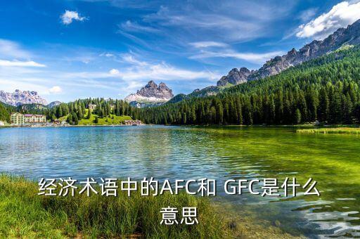 經(jīng)濟(jì)術(shù)語中的AFC和 GFC是什么意思